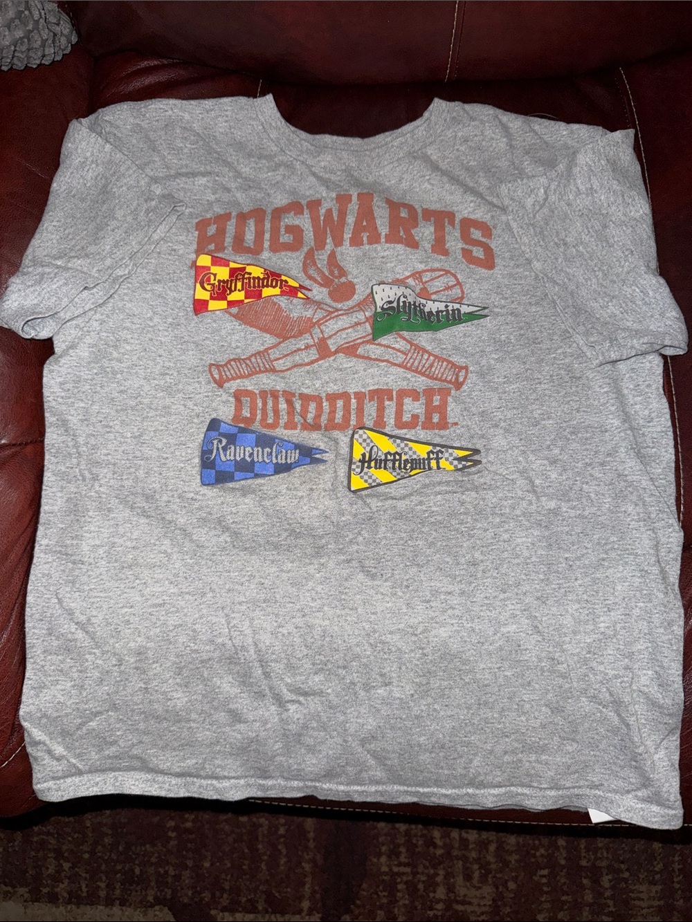 Warner Bros. Hogwarts Quidditch Tee - Gray with Red, Green, Blue, Yellow Accents